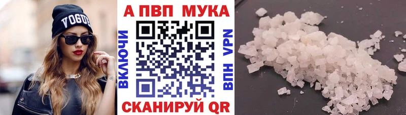 A PVP СК Калининград