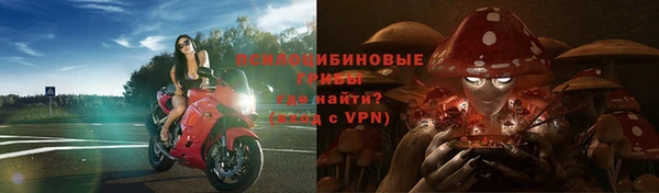 экстази Зеленокумск