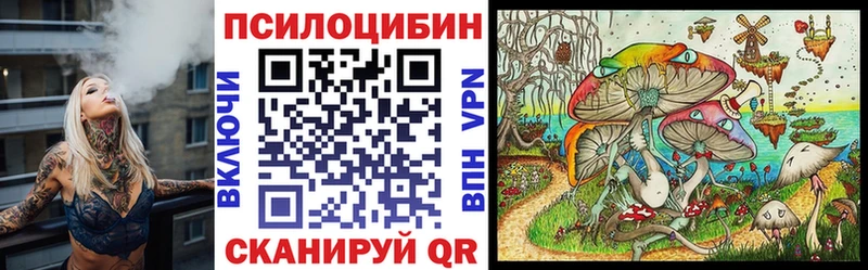 Псилоцибиновые грибы мухоморы Калининград